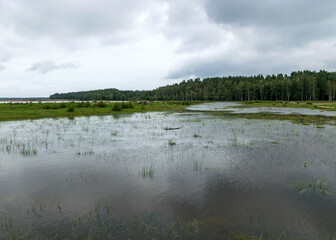 cloudy day, gray clouds, landscape with lake and reeds by the lake