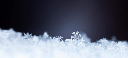 Snowflake. Macro photo of real snow crystal. Beautiful winter background seasonal nature and the weather in winter. 