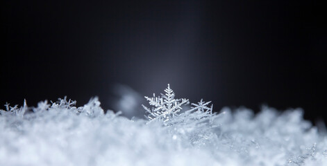 Snowflake. Macro photo of real snow crystal. Beautiful winter background seasonal nature and the weather in winter. 