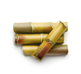 Sugar cane plant isolated on white background.