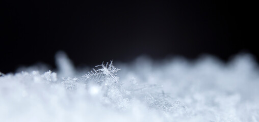 Snowflake. Macro photo of real snow crystal. Beautiful winter background seasonal nature and the weather in winter. 