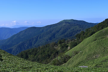 Fototapeta na wymiar 四国で最も美しい山「三嶺」の秋