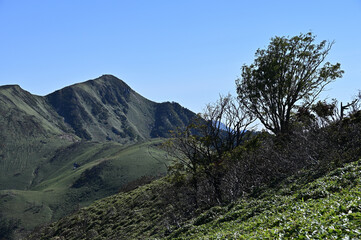 四国で最も美しい山「三嶺」の秋