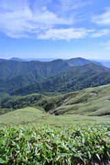 Naklejka premium 四国で最も美しい山「三嶺」の秋