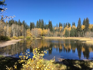 lake in autumn