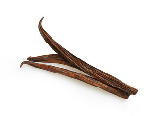 Cacao and vanilla pods isolated