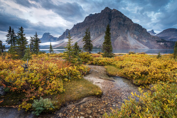 Autumn at Bow Lake in the Canadian Rockies. - obrazy, fototapety, plakaty