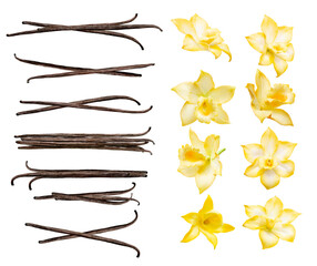 Vanilla pods and flowers set isolated on the white background. Collection of vanilla orhid flowers and vanilla sticks. - obrazy, fototapety, plakaty