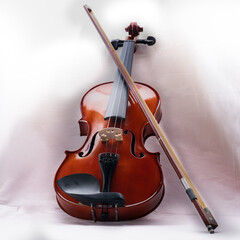 violin