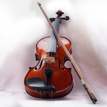 violin