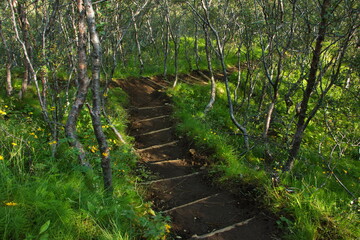 Obraz premium Hiking trail to Valahnukur in Porsmörk, Iceland, Europe 