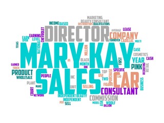 sales director wordcloud concept, wordart,
