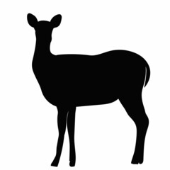 black silhouette deer, isolated vector
