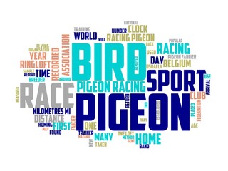 Obraz premium racing pigeons wordcloud concept, wordart,