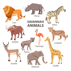 African Savannah Wild Animal Set. Lion, Rhino, Zebra, Buffalo, Giraffe, Flamingo, Leopard, Gazelle, Elephant, Hyena. Flat Vector Illustration. Animals of Africa. Savannh Safari Concept