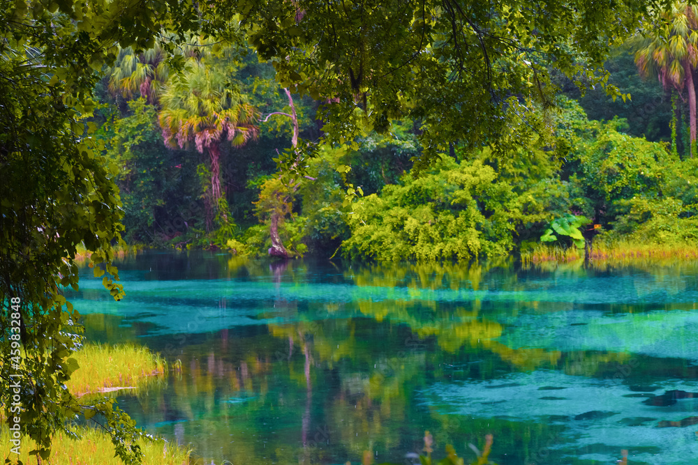 Wall mural rainy day at rainbow springs state park in florida