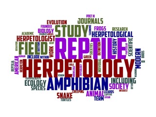 ophiology wordcloud concept, wordart, ophiology,white,herpetology,animal