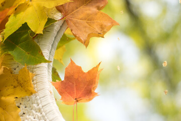 Colorful maple leaves lie on the mirror decorated in the macrame style.The mirror reflects the blue sky and foliage on the trees.Beauty in the nature.Eco-style.Autumn background,top view.