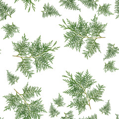 White cedar branch seamless pattern background.
