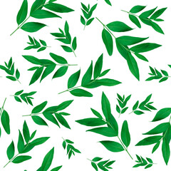 Green branches isolated on white. Seamless pattern background.