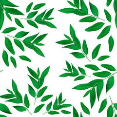 Seamless leaf pattern. Green branches and leaves isolated on white background.