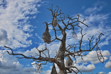 Low angle of bare tree with meat drying nets