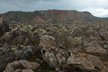 Lava field on Laugar-loop trail in Landmannalaugar, Iceland, Europe
