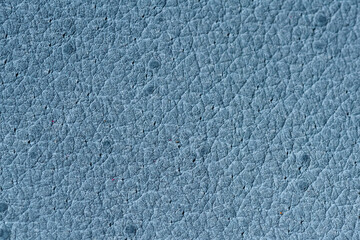 The surface of pig leather.