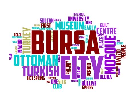 bursar wordcloud concept, wordart, bur,travel,background,white,blur