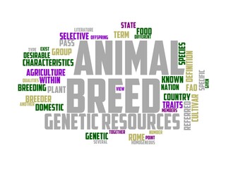 breeder wordcloud concept, wordart, breeder,portrait,animal,young,agriculture