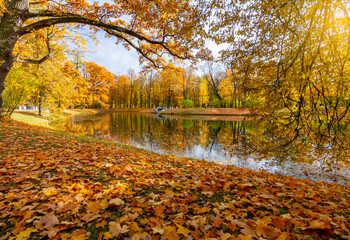 Pond in Alexander park in autumn, Pushkin (Tsarskoe Selo), Saint Petersburg, Russia