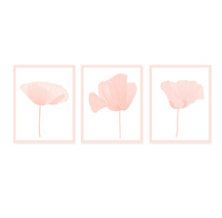 Set of pink flowers Illustrations for Wall Decoration, Postcard, Social Media Banner, Brochure Cover Design Background. Modern Abstract Painting Artwork. Vector Pattern