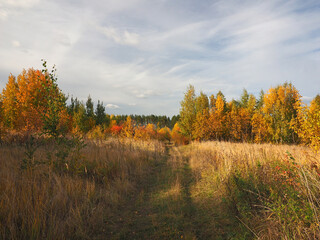 Autumn. Autumn forest, abandoned field and road. Beautiful sky with clouds. Russia, Ural, Perm region