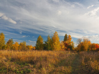 Autumn. Autumn forest, abandoned field and road. Beautiful sky with clouds. Russia, Ural, Perm region