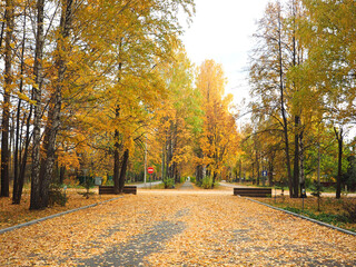 Fototapeta na wymiar Autumn. Autumn park, alley in a small town. Russia, Ural, Perm region