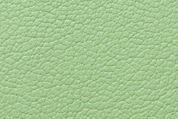 Fototapeta premium The surface of sheep leather.