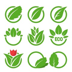 Green leaves design and ecological organic symbols vector illustration