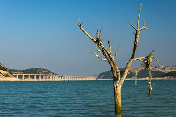 Lago del Liscione.