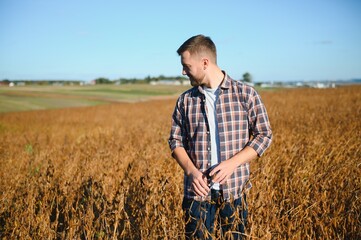 Naklejka na ściany i meble farmer standing in soybean field examining crop at sunset.