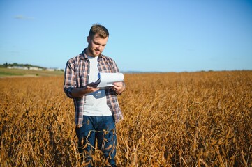 farmer agronomist in soybean field checking crops before harvest. Organic food production and cultivation.