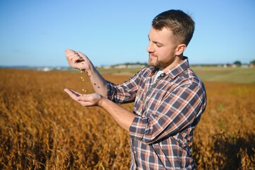 Agronomist inspects soybean crop in agricultural field - Agro concept - farmer in soybean plantation on farm. © Serhii
