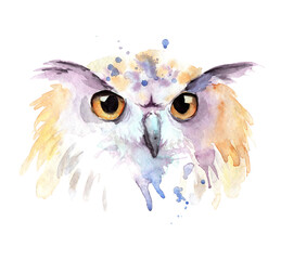 watercolor drawing of a night bird - head of an owl