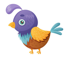 Cute colorful bird cartoon vector illustration on white background