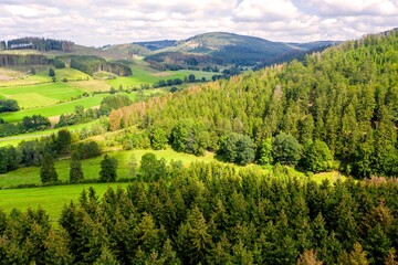 Fototapeta premium the forest mountains of the sauerland in germany