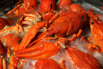 crayfish boil in boiling water, close-up, selective focus