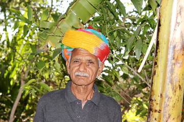 Farmer of Indian origin standing in the field, looking at the camera and wearing a colorful turban on his head as per Rajasthani tradition and Hindu custom