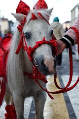 horse in the snow