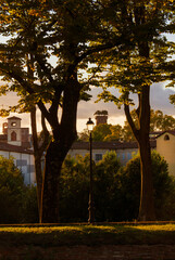 Sunset in Lucca. View of Lucca medieval towers from ancient walls park