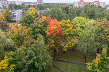 Colorful autumn deciduous trees in the courtyards of residential buildings. Autumn city landscape.