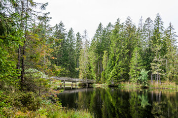 Obraz premium étang de la gruère, la gruère, See, Moorsee, Moor, Weiher, Hochmoor, Wanderweg, Spazierweg, Holzbrücke, Wald, Waldweg, Wasserpflanzen, Torfmoos, Jura, Naturschutz, Herbst, Herbstfarben, Schweiz